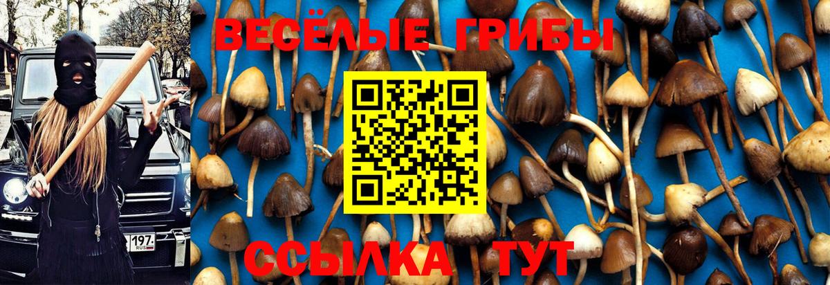 Псилоцибиновые грибы Magic Shrooms Черняховск