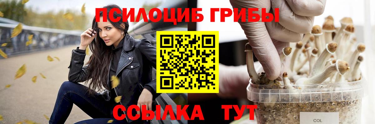 Черняховск  Псилоцибиновые грибы MAGIC MUSHROOMS  Вход с VPN 
